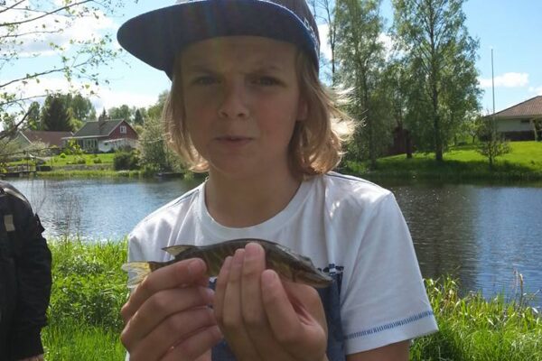 Ankjoggen