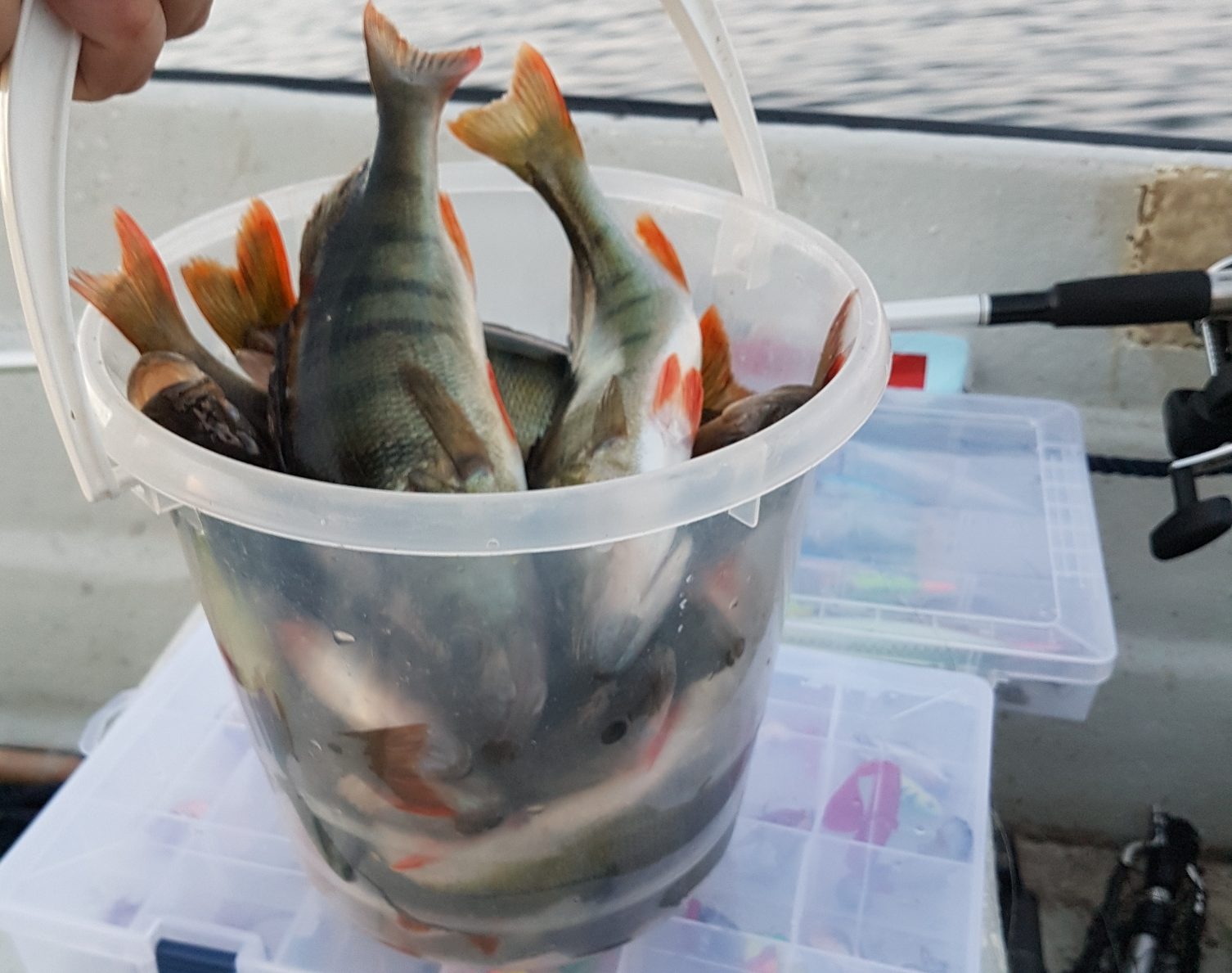 Du visar för närvarande Resultat båtpimpel