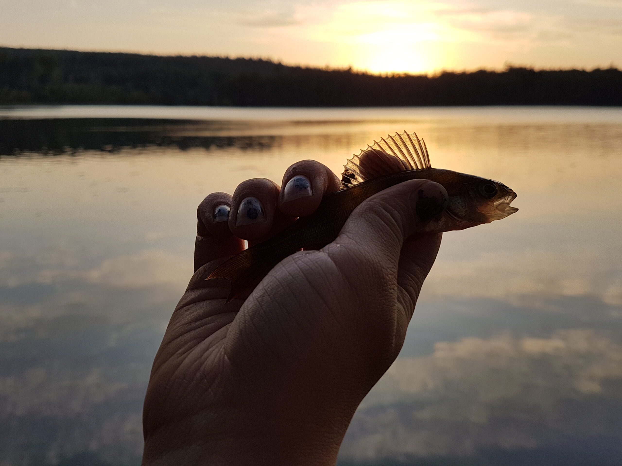 Du visar för närvarande ​Ungdomsklubben 5/10