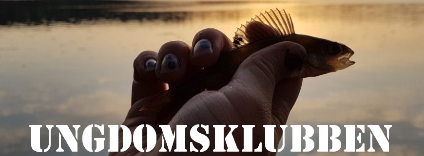 Du visar för närvarande Ungdomsklubben 15/10