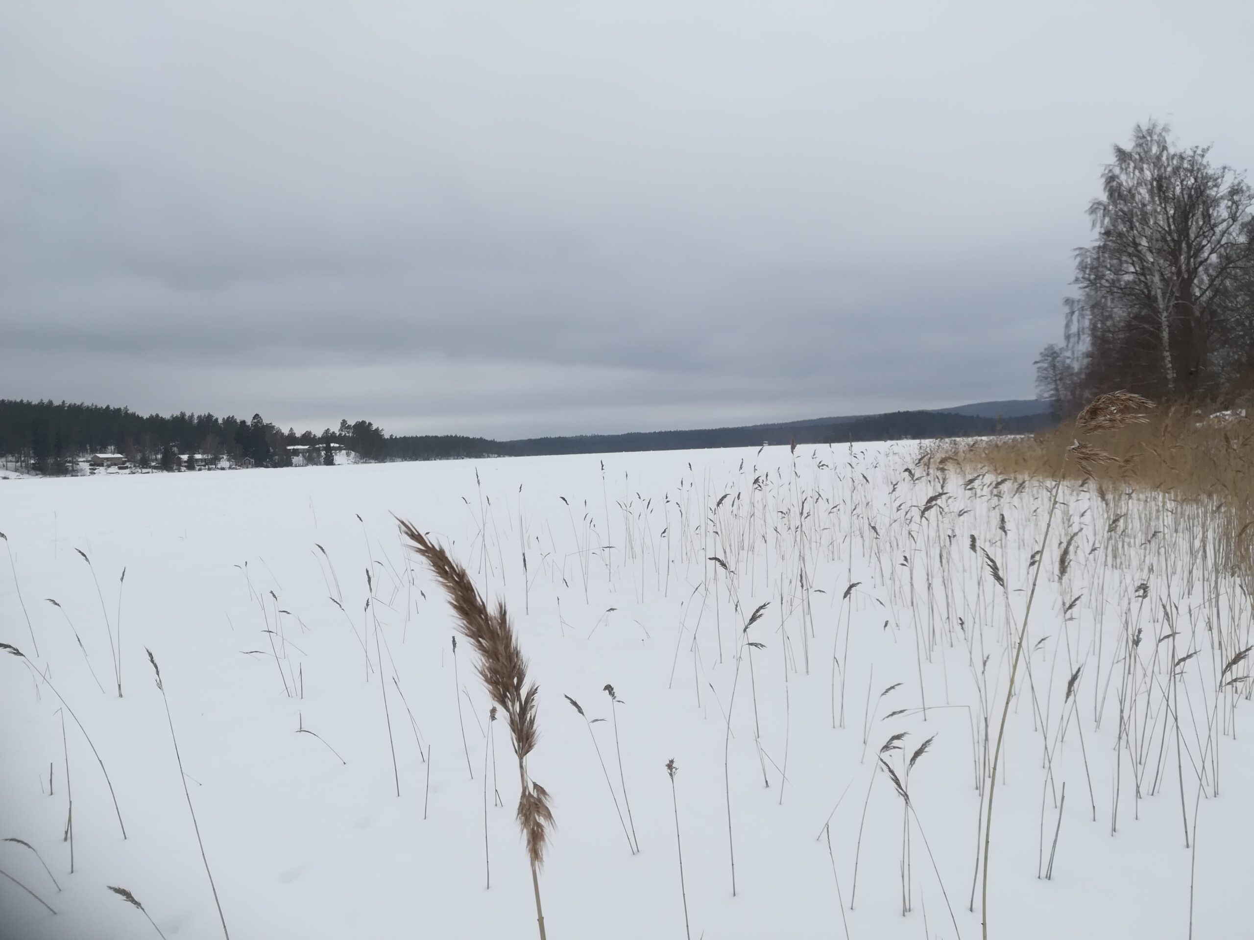Du visar för närvarande Pimpeltävling 