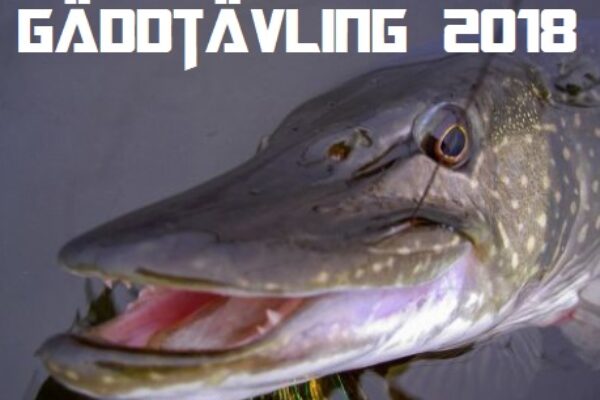 Resultat Gäddtävling 1 & 2