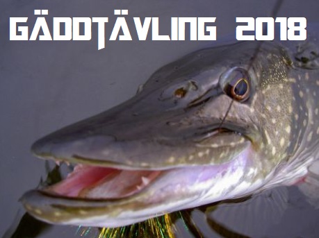 Du visar för närvarande Resultat Gäddtävling 1 & 2