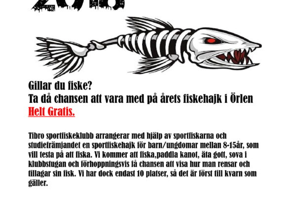 Fiskehajk