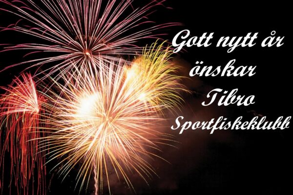 Gött nytt år!!!