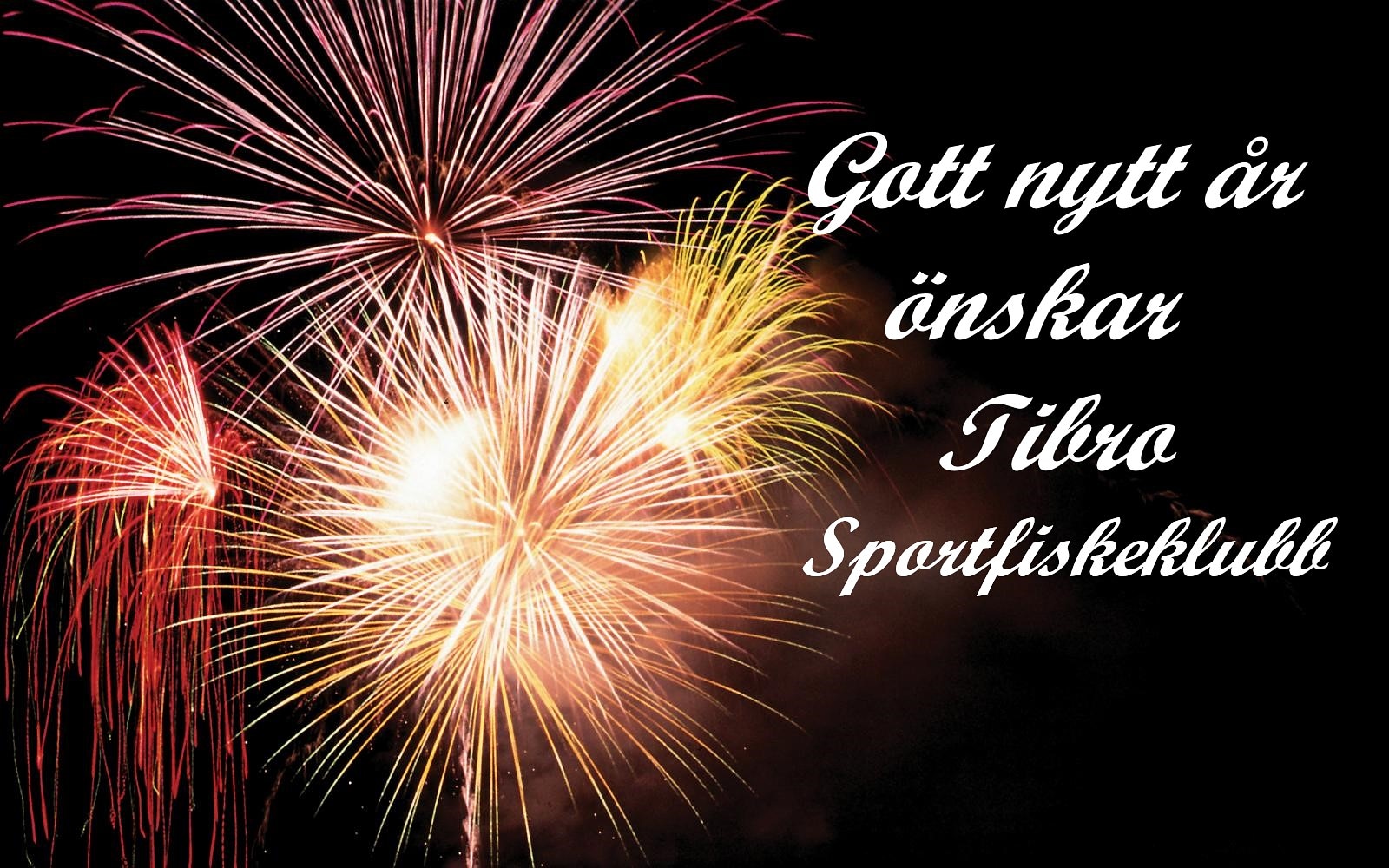 Du visar för närvarande Gött nytt år!!!