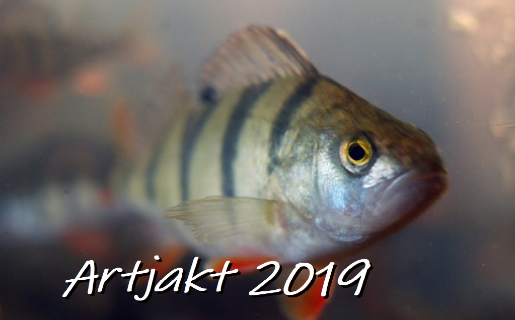 Du visar för närvarande Tävlingregler Artjakt på sjön Örlen!!!