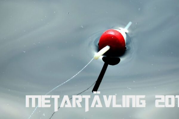 Metartävling 2 Björsjön