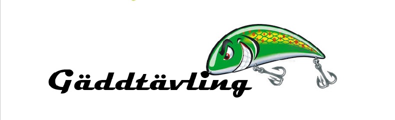 Du visar för närvarande Gäddtävling 2