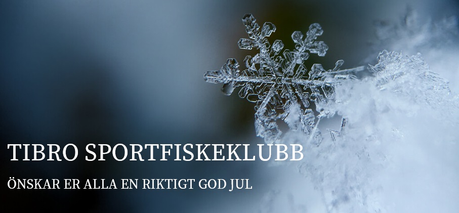 Du visar för närvarande GOD JUL